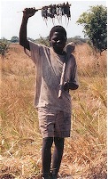 Boy Selling Mice on a Stick in Malawi